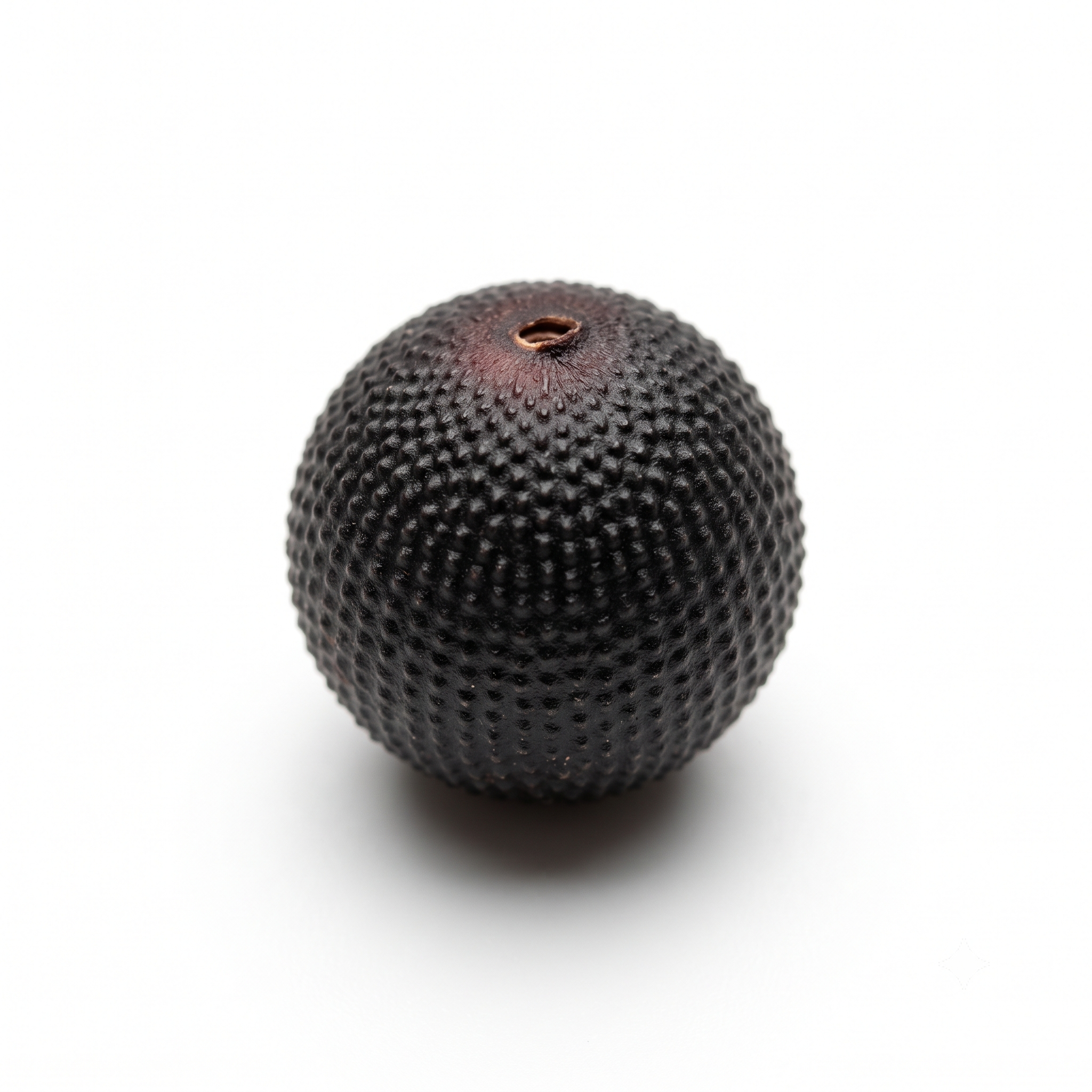 Vaccaria seed (Wang Bu Liu Xing)